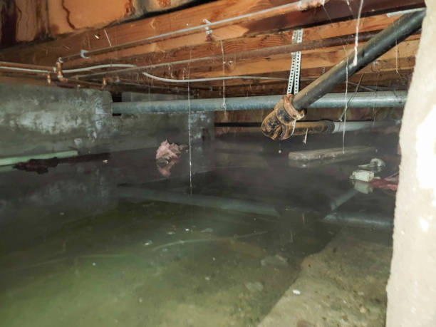 Best Water damage restoration cost  in Ainsworth, NE