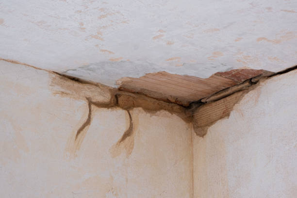 Best Mold removal after water damage  in Ainsworth, NE