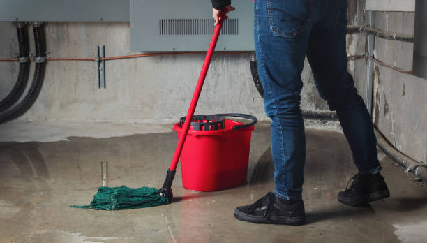 Best Basement water damage restoration  in Ainsworth, NE