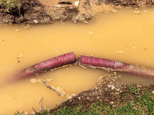 Best Water damage restoration company  in Ainsworth, NE